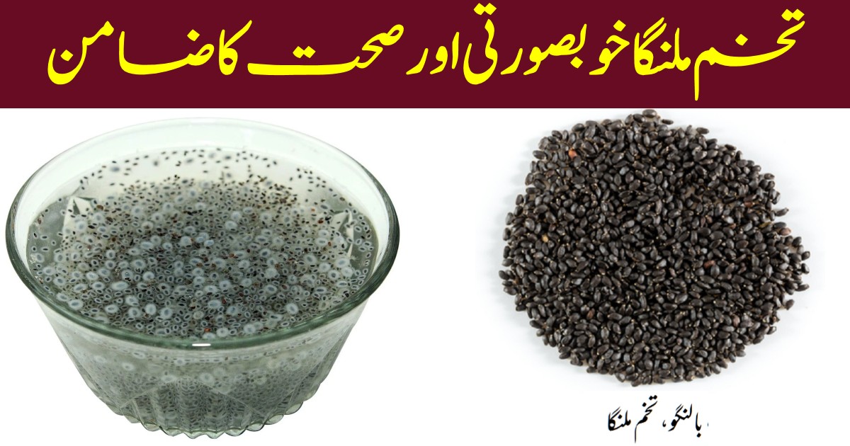 Spoon Chia Seeds Daily Khane Ke Fayde Chia Seeds Health 59 OFF