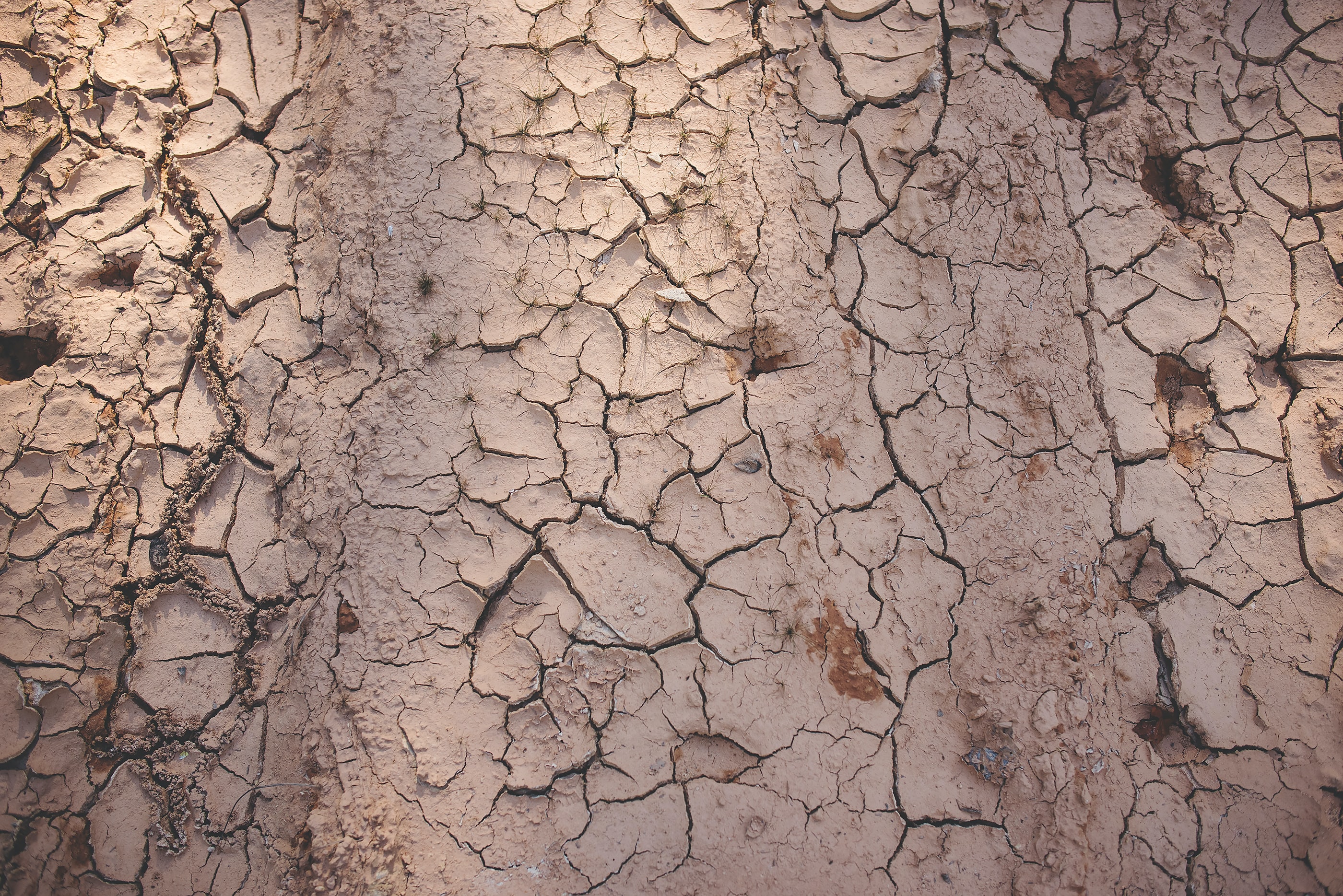 clay soil meaning in urdu