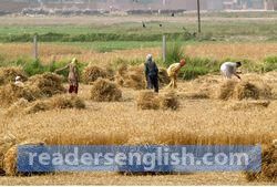 Agriculture Urdu meaning