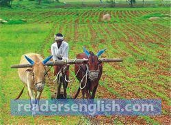 Agriculture Urdu meaning