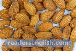 almond Urdu meaning