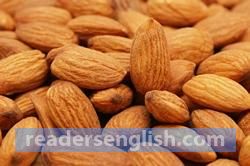 almond Urdu meaning