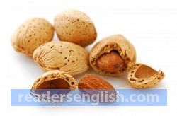 almond Urdu meaning