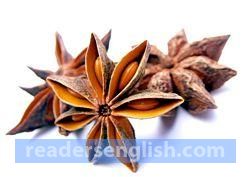 anise Urdu meaning