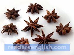 anise Urdu meaning