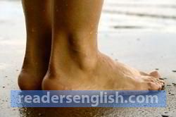 ankle Urdu meaning