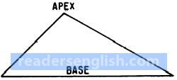 apex Urdu meaning