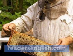 apiculture Urdu meaning