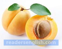 apricot Urdu meaning