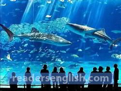 aquarium Urdu meaning