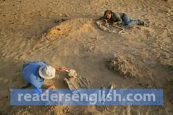 archaeologist Urdu meaning