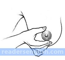 areola Urdu meaning