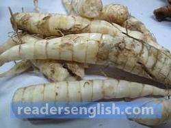 arrowroot Urdu meaning