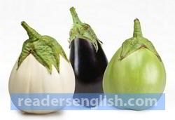 aubergine Urdu meaning