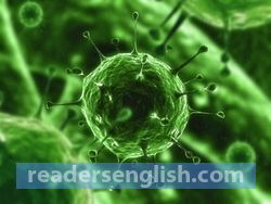 bacteria Urdu meaning