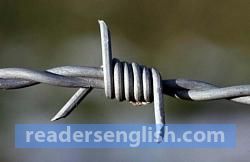 barbwire Urdu meaning