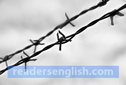 barbwire Urdu meaning