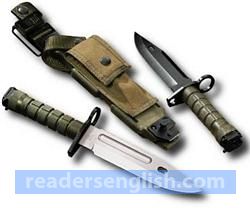 bayonet Urdu meaning