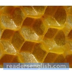 beeswax Urdu meaning