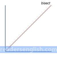 bisect Urdu meaning
