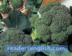 broccoli Urdu meaning