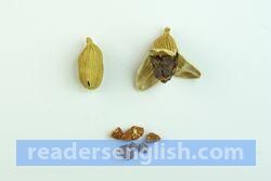 cardamom Urdu meaning