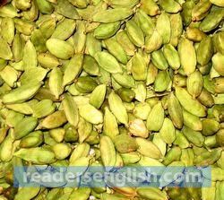 cardamom Urdu meaning