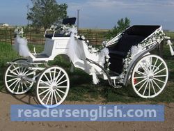carriage Urdu meaning