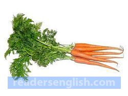 carrot Urdu meaning