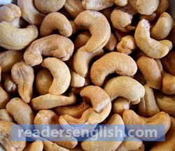 cashew Urdu meaning