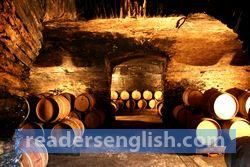 cellar Urdu meaning