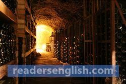 cellar Urdu meaning