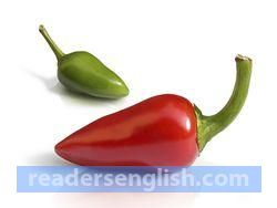 chili Urdu meaning