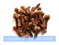 clove Urdu meaning