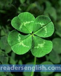 clover Urdu meaning