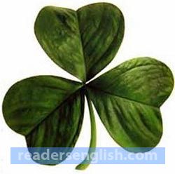 clover Urdu meaning