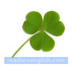 clover Urdu meaning