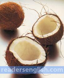 coconut Urdu meaning