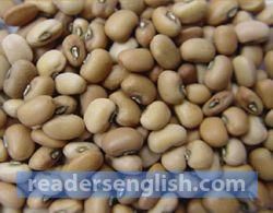 cowpea Urdu meaning