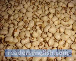 cowpea Urdu meaning