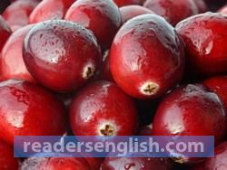 cranberry Urdu meaning