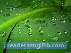 dew Urdu meaning