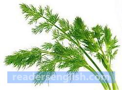 dill Urdu meaning