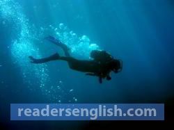 dive Urdu meaning