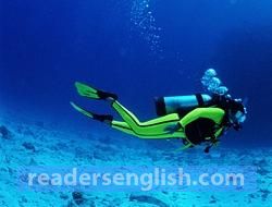 diver Urdu meaning