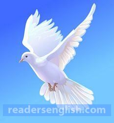 Dove Urdu meaning