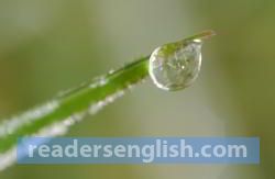 droplet Urdu meaning