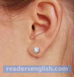 earlobe Urdu meaning