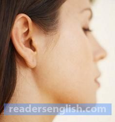 earlobe Urdu meaning