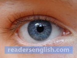 eye Urdu meaning